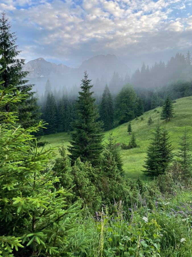 Willa Magic Mountain Žabljak Zewnętrze zdjęcie
