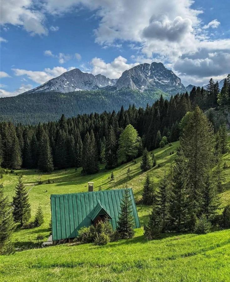 Willa Magic Mountain Žabljak Zewnętrze zdjęcie