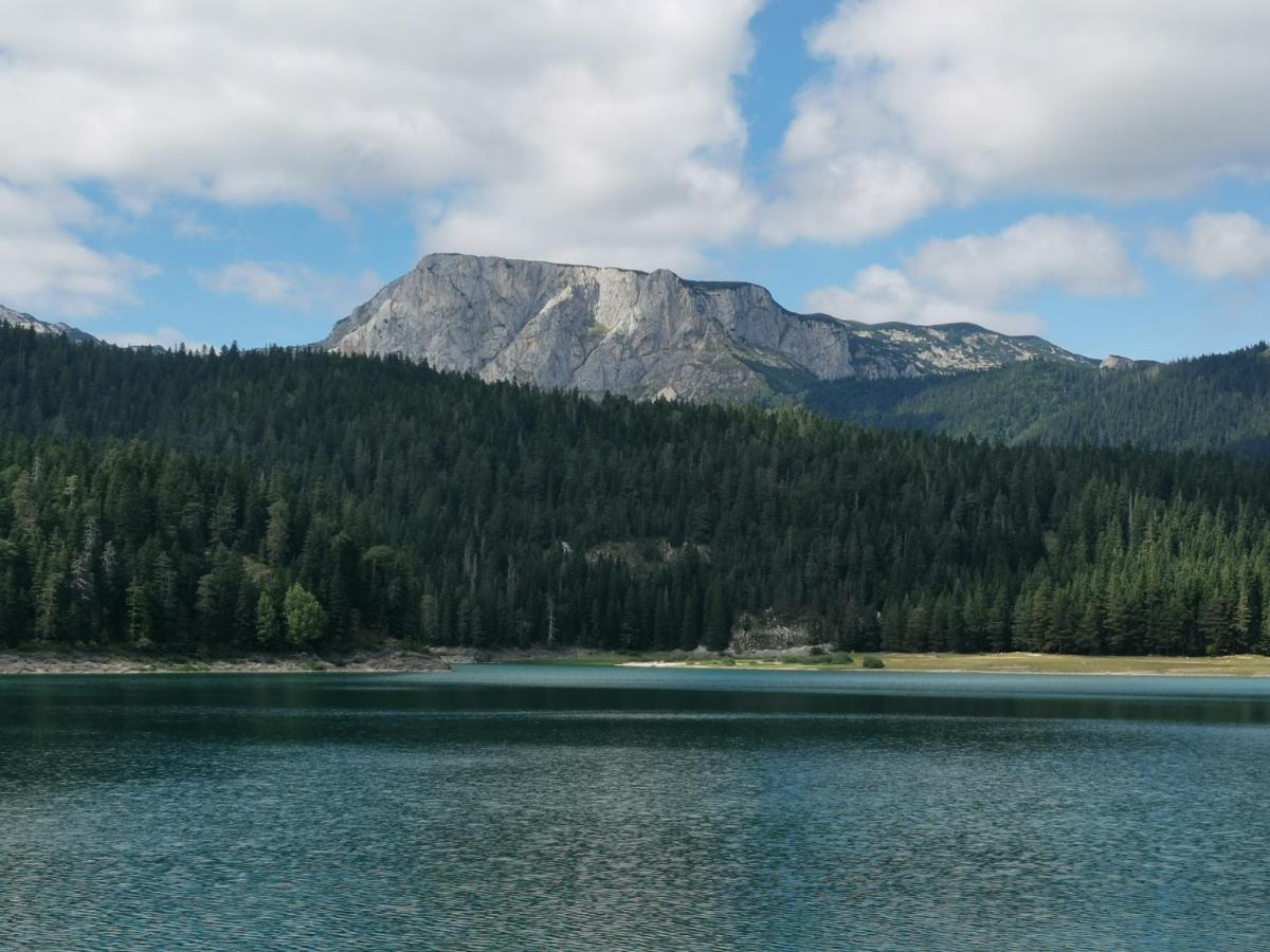 Willa Magic Mountain Žabljak Zewnętrze zdjęcie