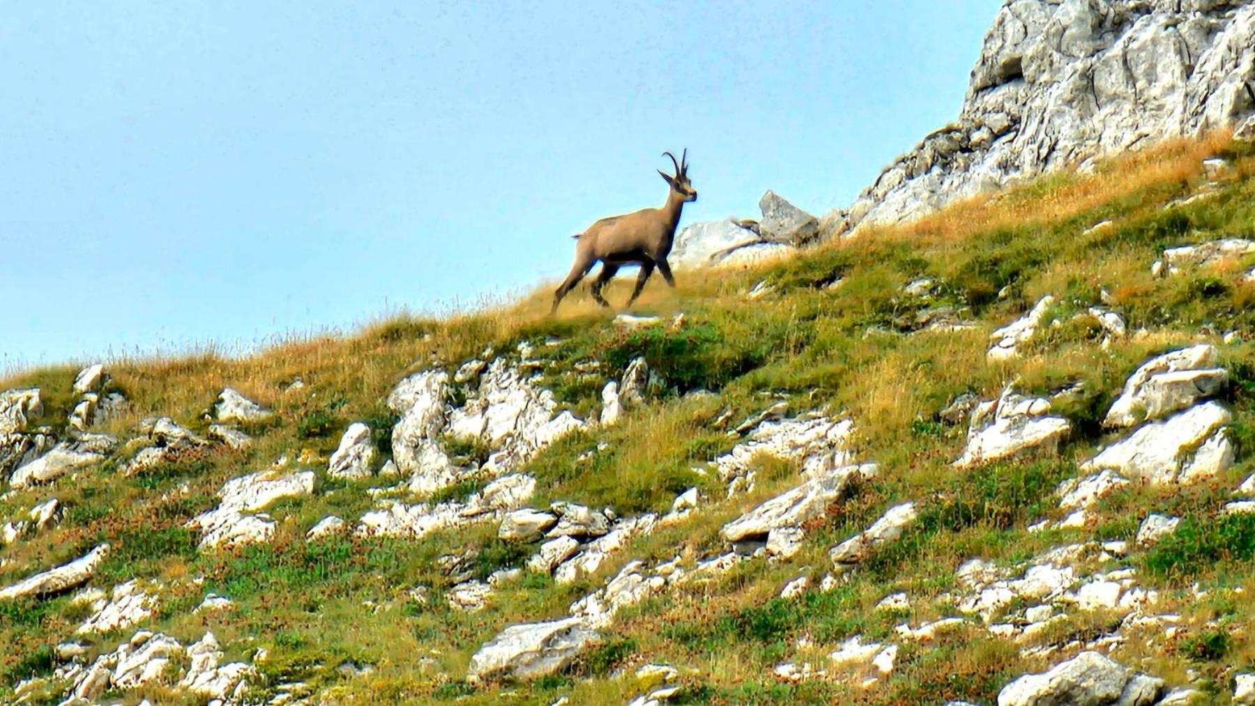Willa Magic Mountain Žabljak Zewnętrze zdjęcie